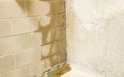 Detecting Moisture Issues Early to Prevent Foundation Damage