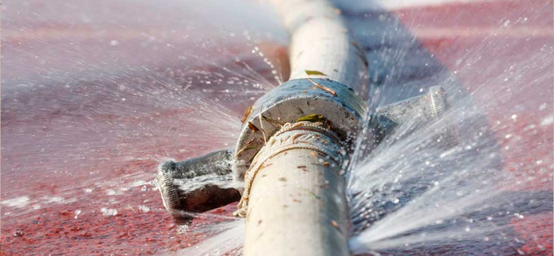 Why Proper Pipe Maintenance Prevents Leaks and Foundation Damage